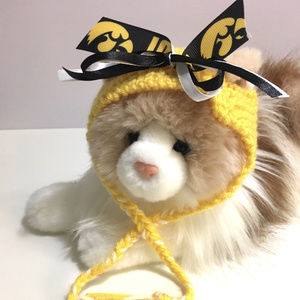 University of Iowa HAWKEYES Cat Hat *NEW*